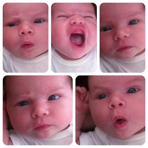 Many faces of Halle Jo